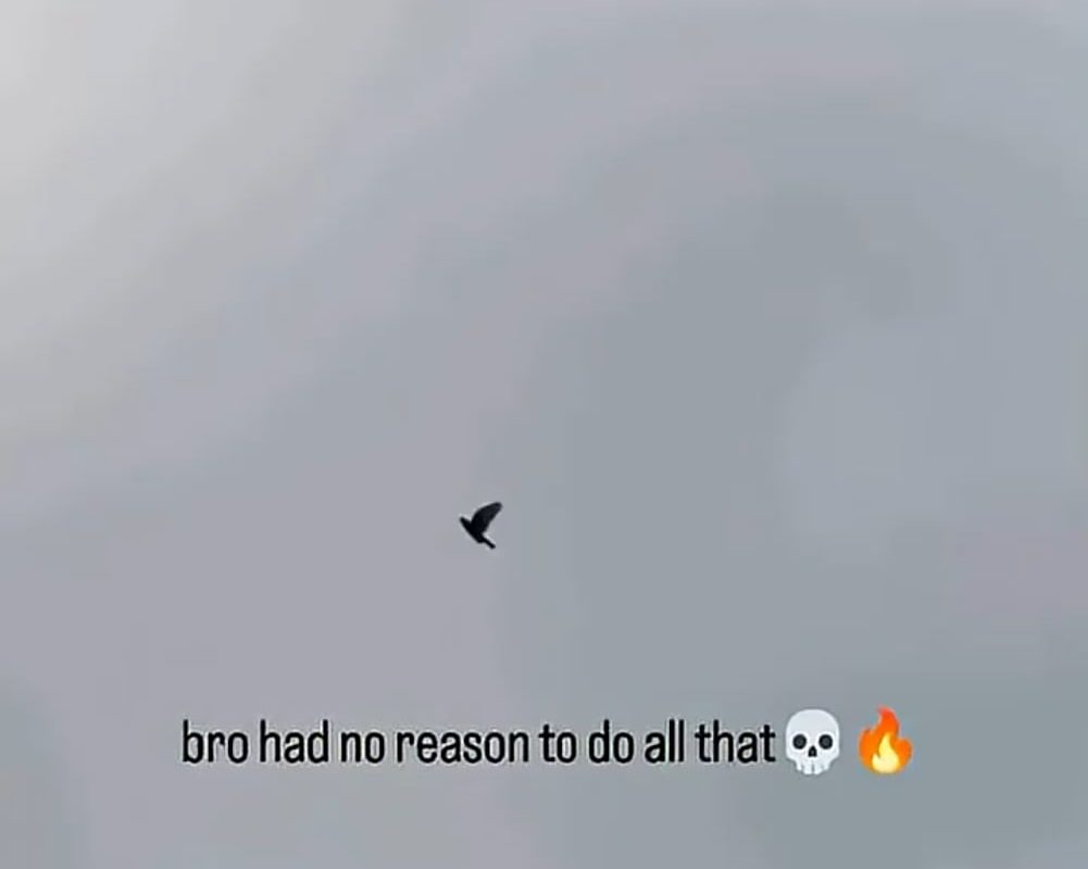 The Next level pigeon🕊...