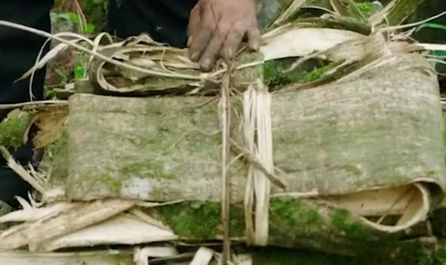 The art behind ancient paper making