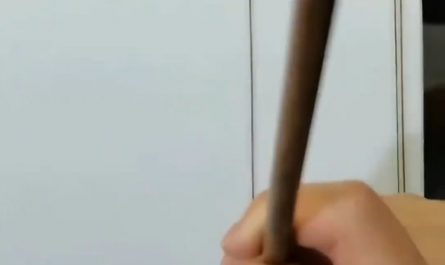 The art of hand-painted porcelain decoration.