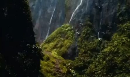 The beauty of Tumpak Sewu Waterfall in Indonesia 🇮🇩 Interesting fact: Tumpak Sewu Waterfall is often called the "Niagara of Indonesia" because of its impressive width and shape. It consists of numerous streams that cascade down a sheer cliff about 120 meters high