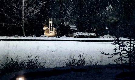 The different speeds of the shadows of these snowflakes on the road