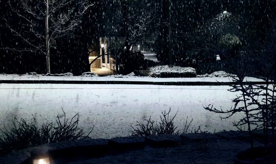 The different speeds of the shadows of these snowflakes on the road