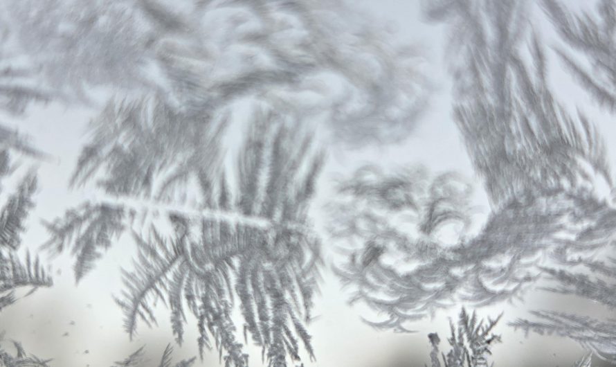 The frost crystal patterns on my windshield this morning