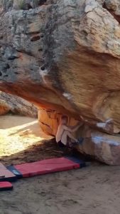 The grip strength is actually nuts !