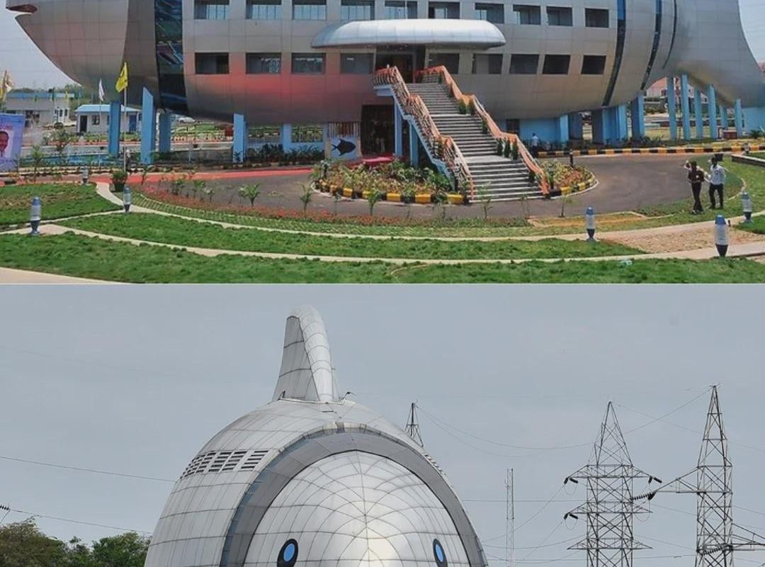 The headquarters of the National Fisheries Development Board in Hyderabad, India. Is shaped like a silly fish!