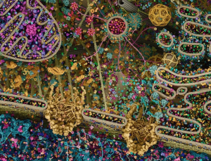 The most detailed view of human cell till date