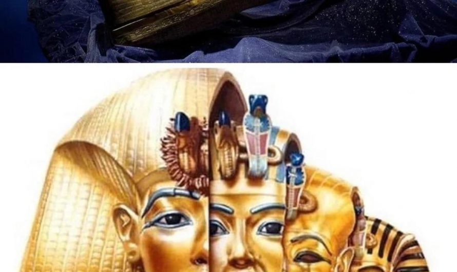 The mummy of king Tutankhamun was laid inside 3 coffins nested within each, with the innermost coffin made of 110.4 kg of solid gold. For the first time since his tomb was opened 100 years ago, the 3 coffins is being displayed together at the new Grand Egyptian Museum now