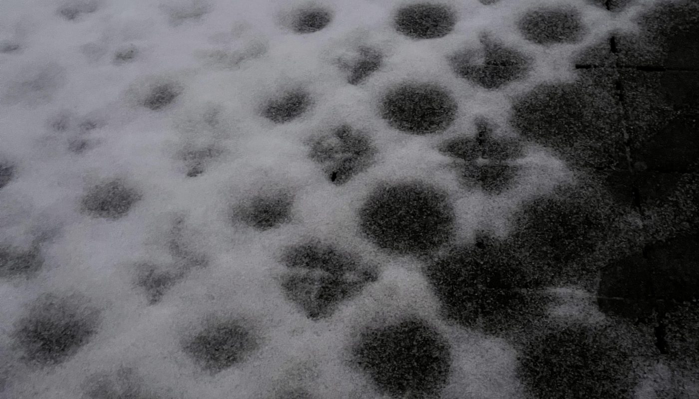 The pattern of melting snow