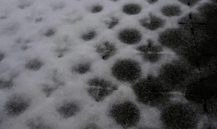 The pattern of melting snow