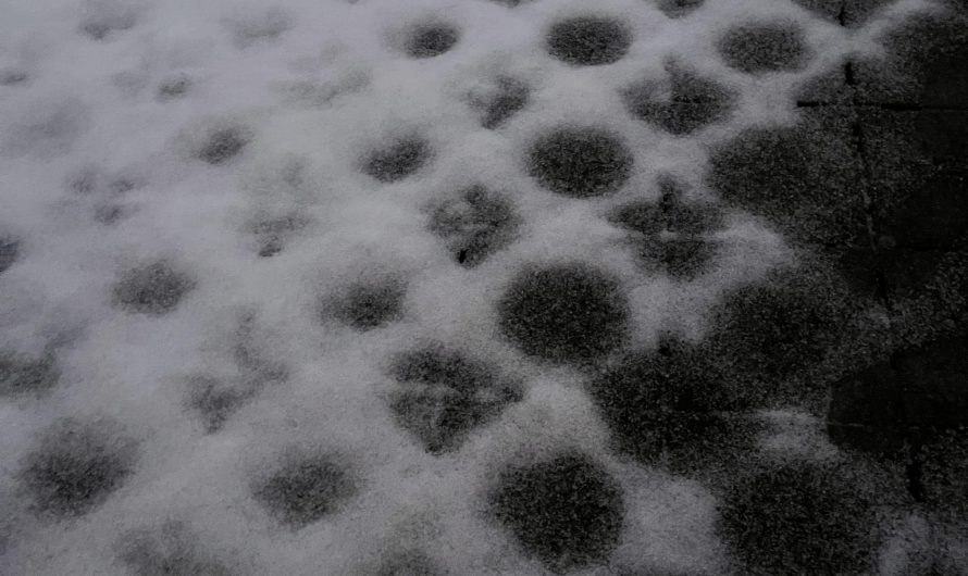 The pattern of melting snow