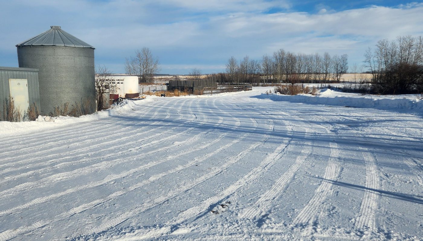 The plow lines after clearing my yard.