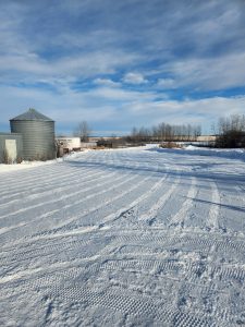 The plow lines after clearing my yard.