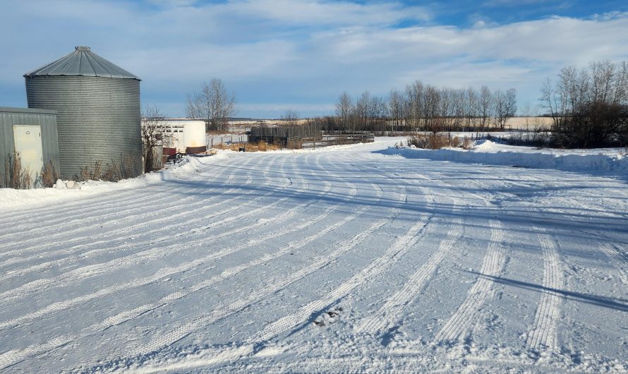 The plow lines after clearing my yard.