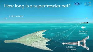 The size of a super trawler net