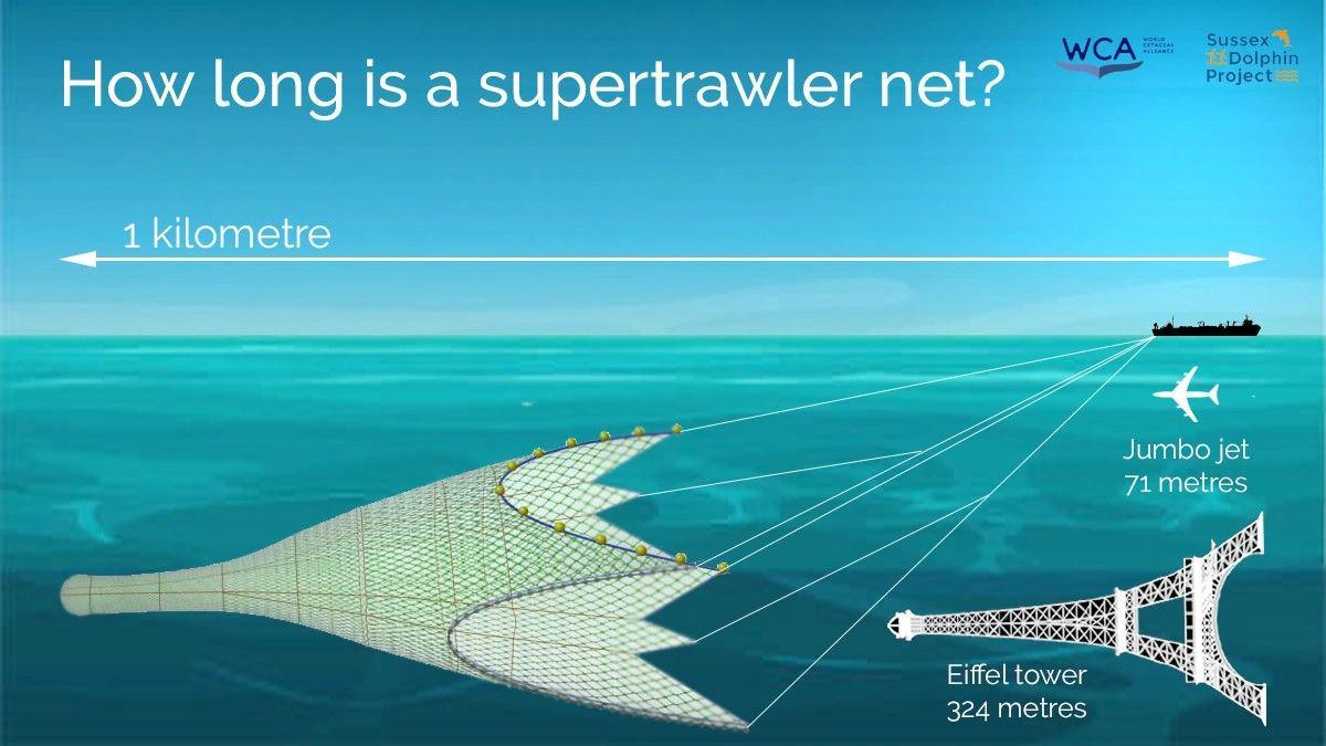 The size of a super trawler net