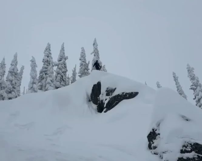 The softness of the snow