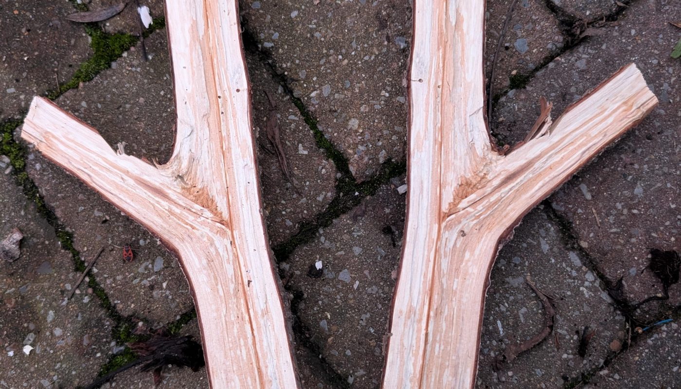 The way I split this piece of wood... I can double wield!