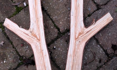 The way I split this piece of wood... I can double wield!