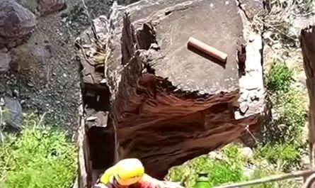 The way it splits mid air.