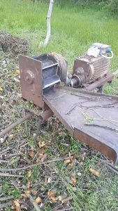 The way it's munching the branches