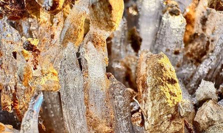 The way morning frost creates ice pillars that push the soil and stones up