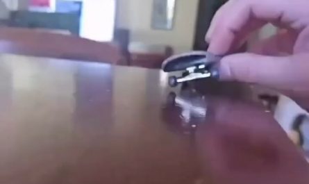 The way the cat helps finish the combo