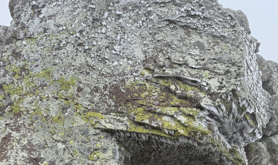 The way the ice formed on this rock.
