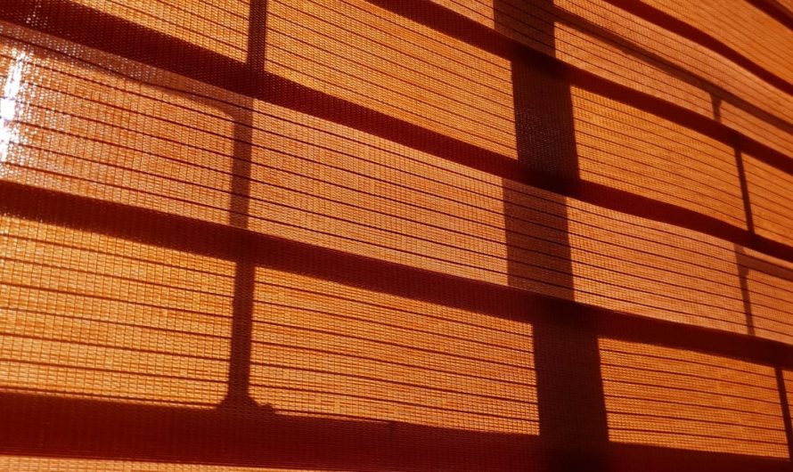 The way the light hits my bedroom blinds