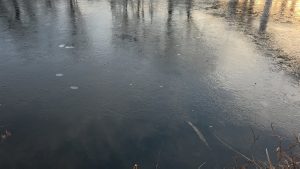 The way the ripple starts at the edge of the ice
