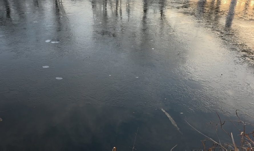 The way the ripple starts at the edge of the ice