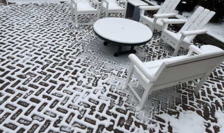 The way the snow formed around these brick pavers