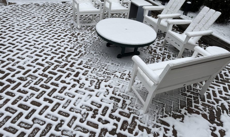 The way the snow formed around these brick pavers