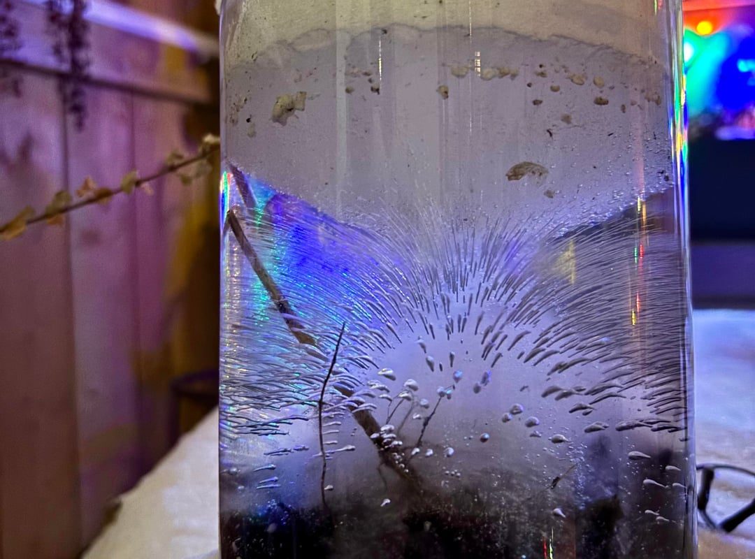 The way the water in this vase froze