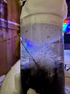 The way the water in this vase froze