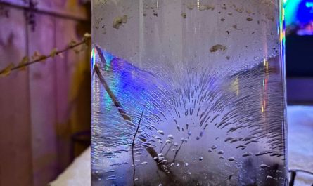 The way the water in this vase froze