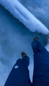 The way these ice flakes look almost like feathers