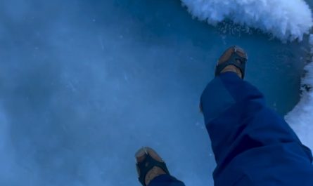 The way these ice flakes look almost like feathers