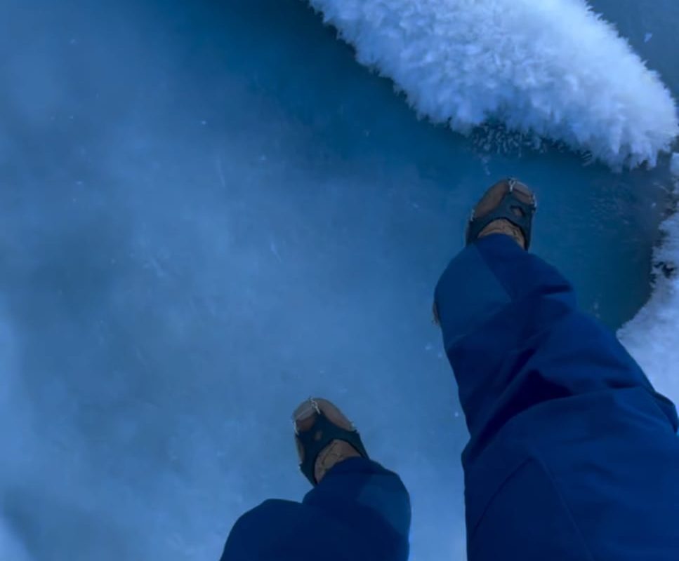 The way these ice flakes look almost like feathers
