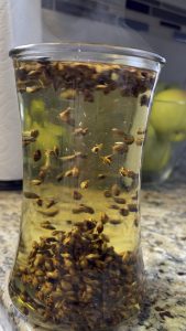 The way this barley tea swirls the kernels…