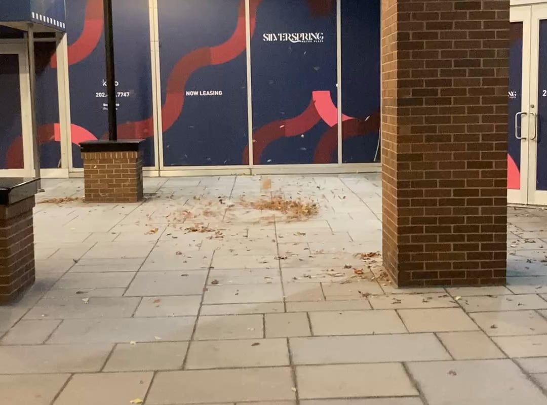 The wind helping leaves & downtown detritus do a short, spinning dance