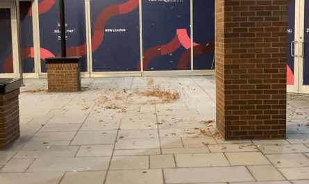 The wind helping leaves & downtown detritus do a short, spinning dance