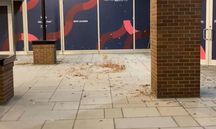 The wind helping leaves & downtown detritus do a short, spinning dance