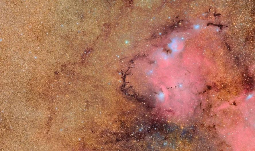 The world’s largest camera (3,200 megapixels) just released its first image. It captured 10 million galaxies in a single shot.”