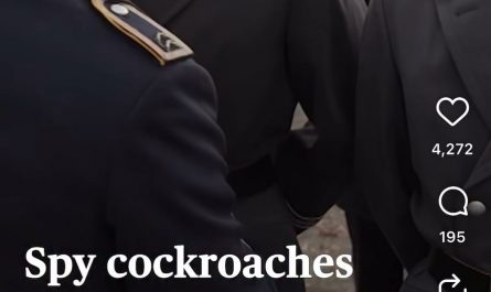 There’s a German startup that wants to use cockroaches as spies by putting electronics on them and controlling them via remote control