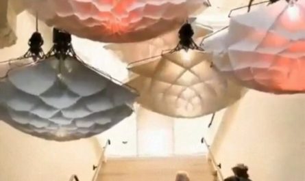 These 'Flower' Lamps Opening and Closing