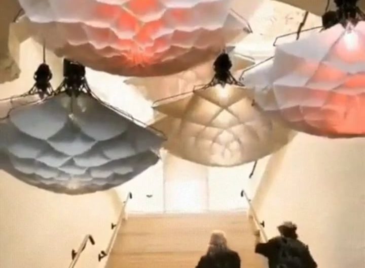 These ‘Flower’ Lamps Opening and Closing