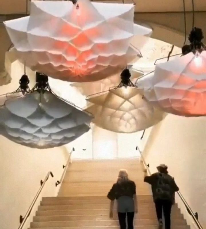 These 'Flower' Lamps Opening and Closing