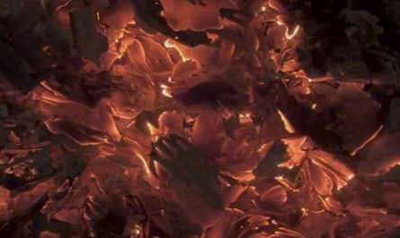 These glowing embers.