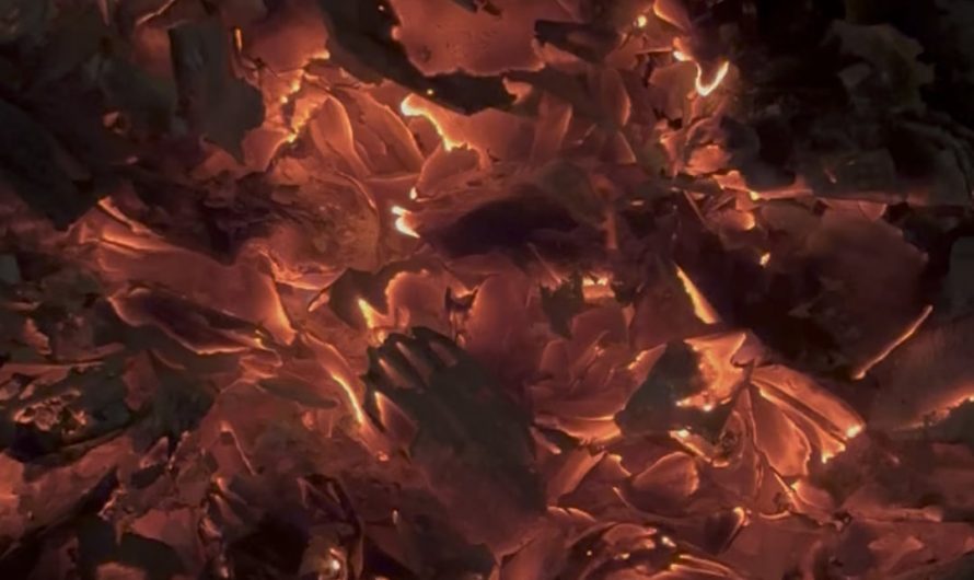 These glowing embers.