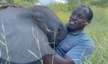 They didn’t mention this on career day